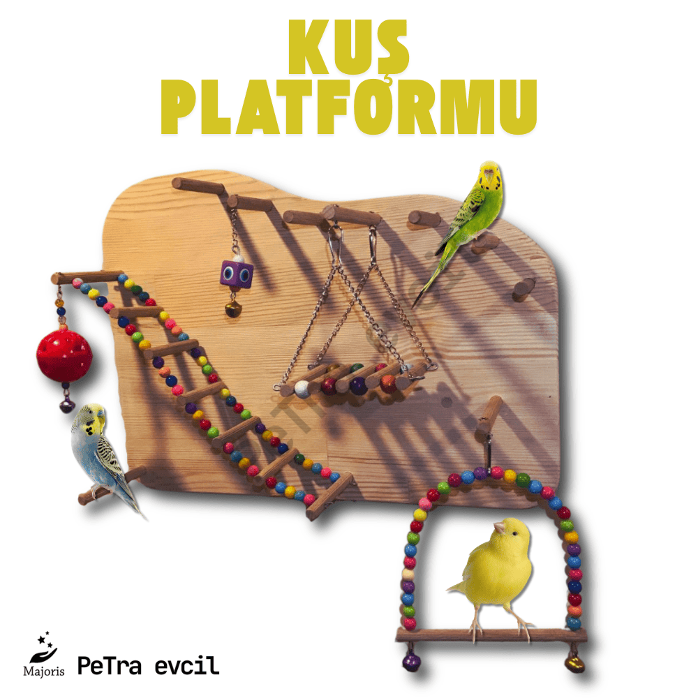 Kuş Platformu - 1